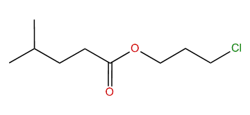 3-Chloropropyl isohexanoate